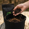 TerraTurbo Grow Set – 3 Pflanzen 4